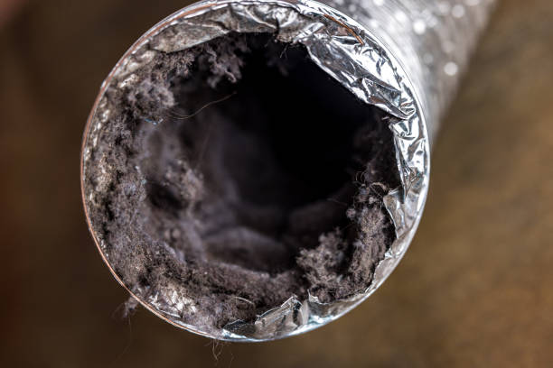 Best Best Air Duct Cleaning Company  in Ben Wheeler, TX